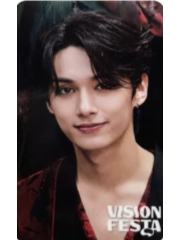 vision festa入场卡3.0 俊