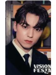 vision festa入场卡3.0 率