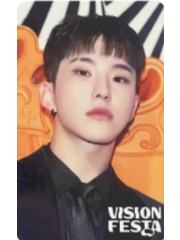 vision festa入场卡3.0 荣