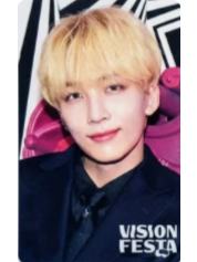 vision festa入场卡3.0 净