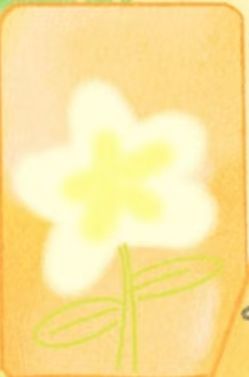 26年生日东之卡 ver.C