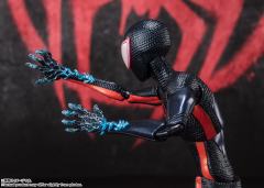 SHF 蜘蛛侠1610 迈尔斯·莫拉莱斯-资料图