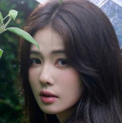 白鹿