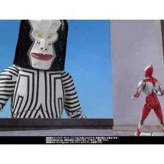 SHF 三面怪人 达达 人类标本5·6Ver.-资料图