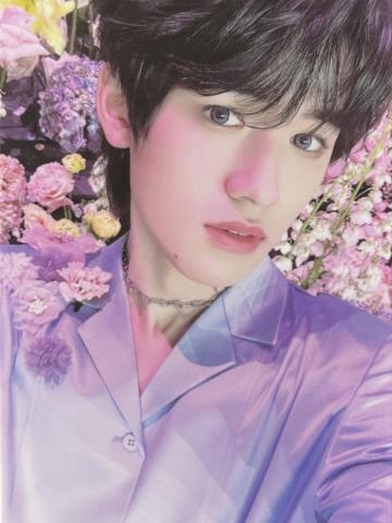 乌托邦乐园 单封3