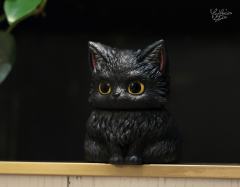 坐坐黑猫-资料图