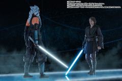 SHF 安纳金·天行者-资料图