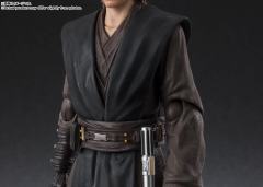 SHF 安纳金·天行者-资料图