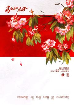 高山上的花环-资料图