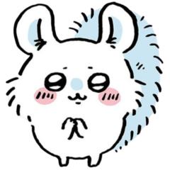 飞鼠