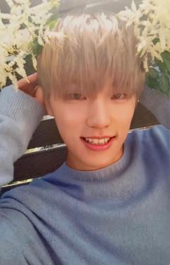 WHITE ver