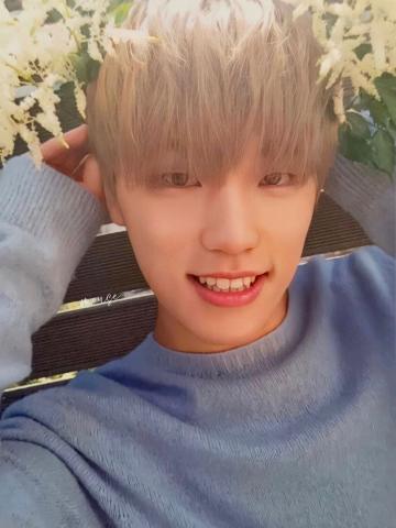 WHITE ver