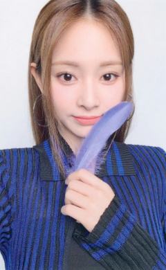 会员盘 瑜 ver.G