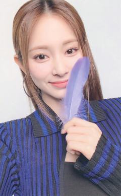 会员盘 瑜 ver.H