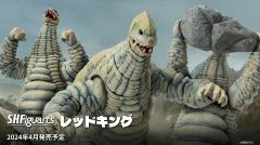 SHF 雷德王-资料图