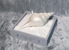 海螺Notte-资料图