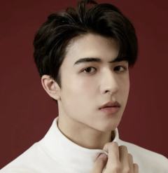 尹浩宇官方周边