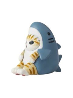 鲨鱼猫发呆-资料图