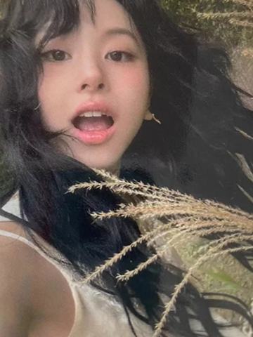 kkt预售 彩