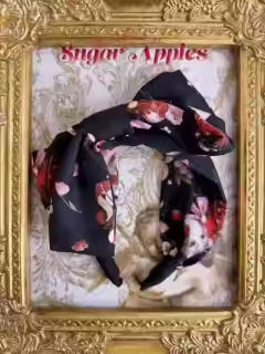 Spin 合作款 Sugar Apple 苹果糖 JSK-资料图