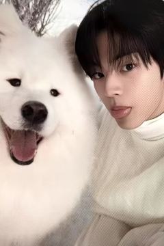 单封版专卡2 ver.B