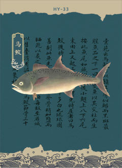 HY-33【马鲛】