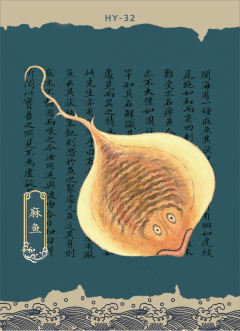 HY-32【麻鱼】