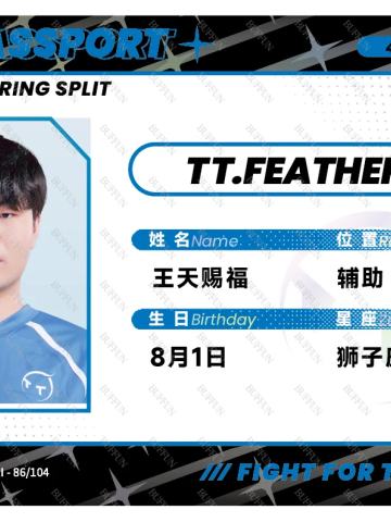 TT.FEATHER