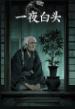 梦渊·一夜白头