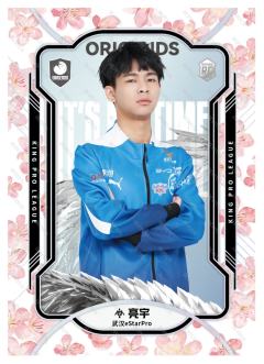 武汉eStarPro.亮宇