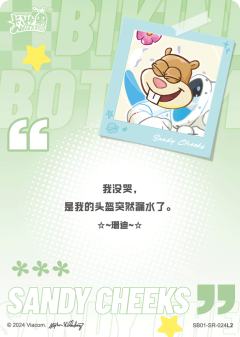 珊迪-资料图