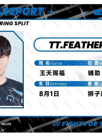 TT.FEATHER