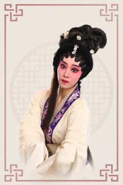 淡敏仪