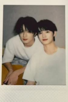 楼非楼分队卡24