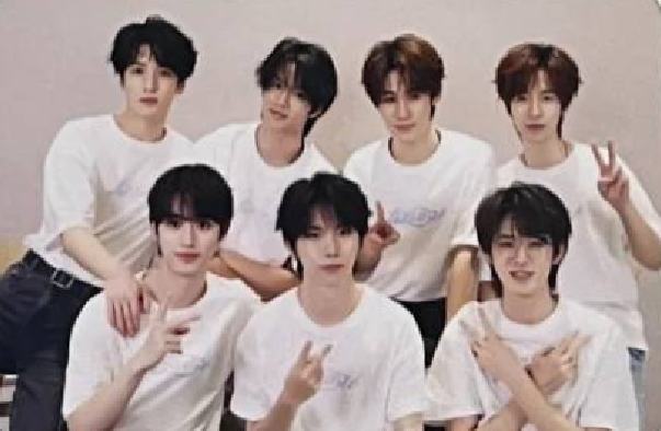 楼非楼团款小卡