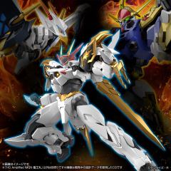 HG Amplified IMGN 龙王丸-资料图