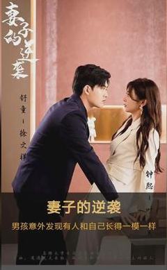 妻子的逆袭