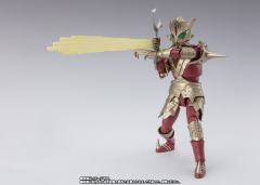 S.H.Figuarts 艾斯杀手 豪华套装-资料图