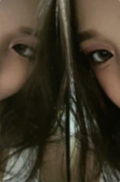 bushiya严智 verA.
