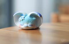 风信子花-资料图
