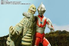 SHF 雷德王-资料图
