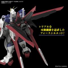 RG ZGMF-56E2/α 威力型脉冲高达 规格Ⅱ-资料图