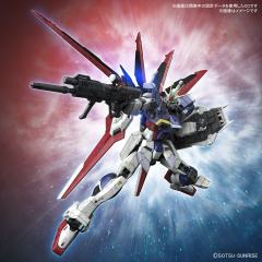 RG ZGMF-56E2/α 威力型脉冲高达 规格Ⅱ-资料图
