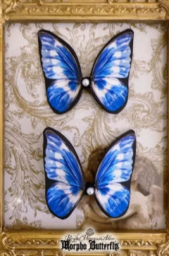 Morpho Butterfly 大闪蝶 系列-资料图