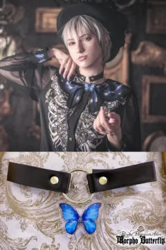Morpho Butterfly 大闪蝶 系列-资料图
