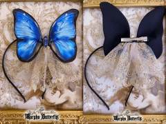 Morpho Butterfly 大闪蝶 系列-资料图