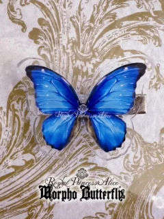 Morpho Butterfly 大闪蝶 系列-资料图