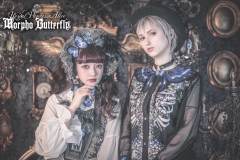 Morpho Butterfly 大闪蝶 系列-资料图
