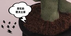 抱抱盆栽毛绒系列-太阳花款-资料图