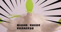 抱抱盆栽毛绒系列-象牙宫款-资料图